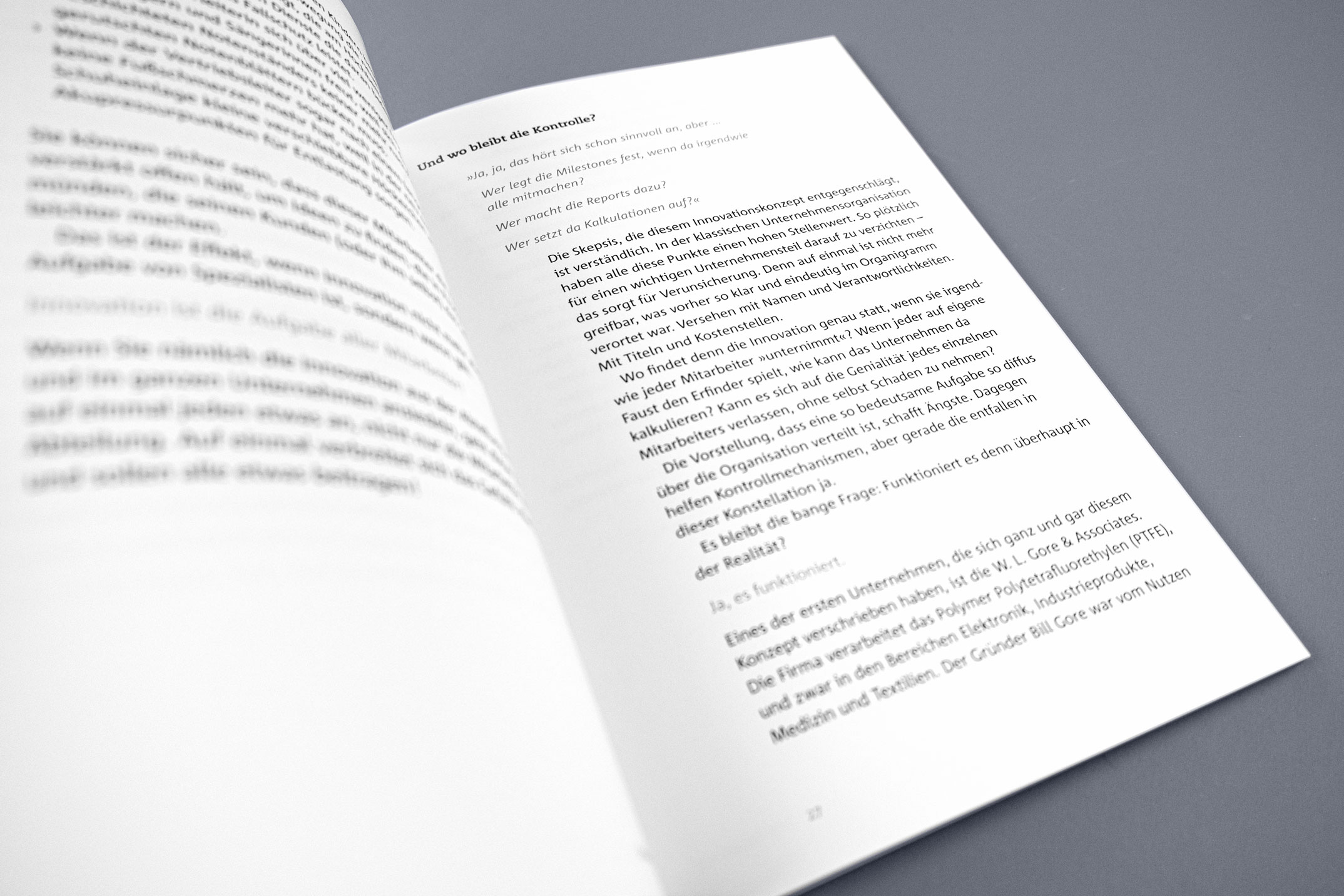 Hierarchien in der Typografie, Sachbuch »In der Nordwand« von Rainer Petek