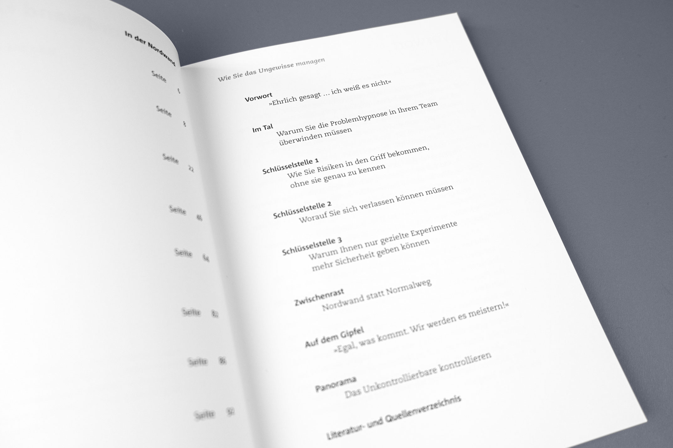 Inhaltsverzeichnis des Sachbuchs »In der Nordwand« Rainer Petek