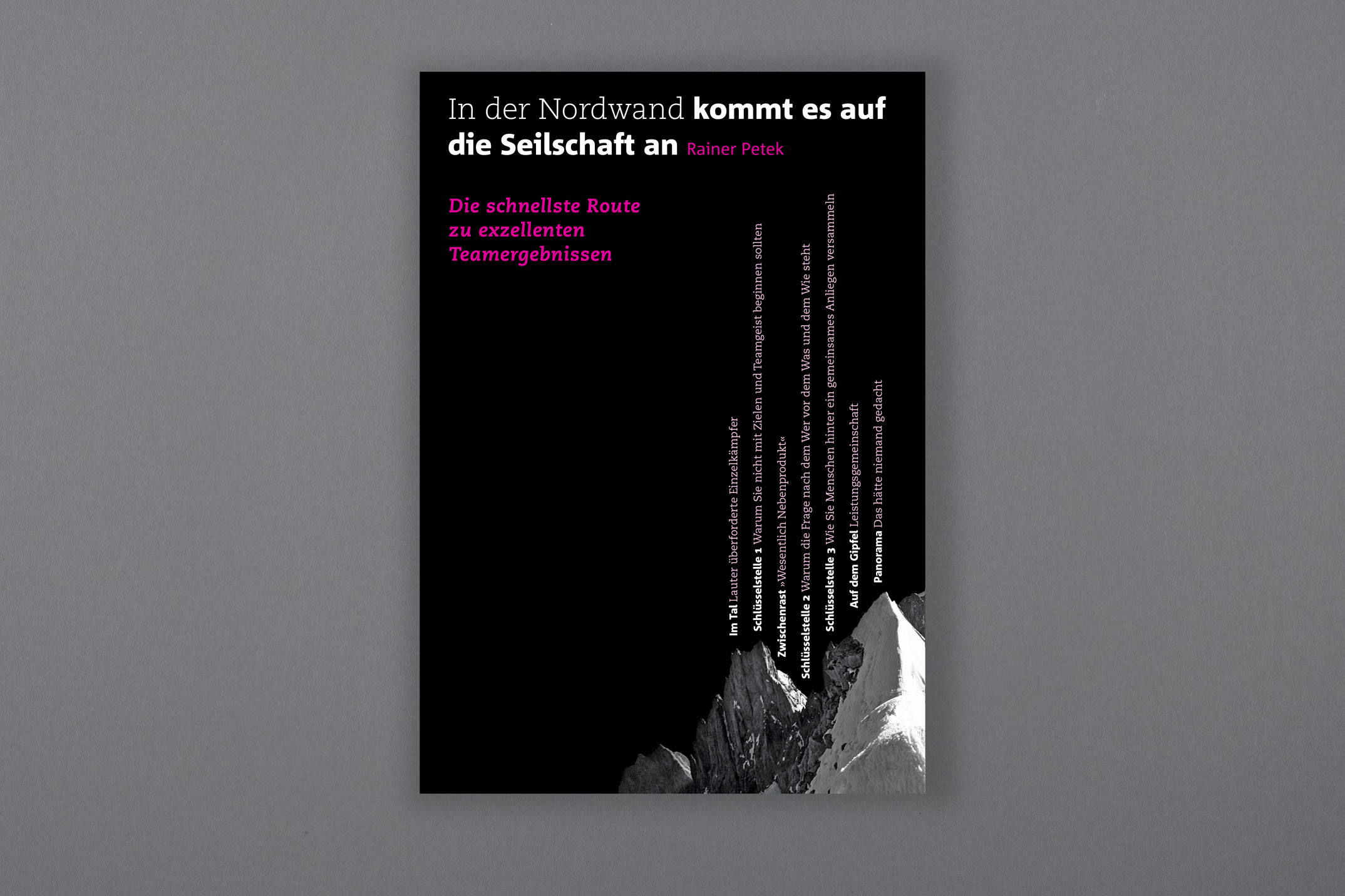 Buchumschlag-Reihengestaltung, Band 4, In der Nordwand, Rainer Petek