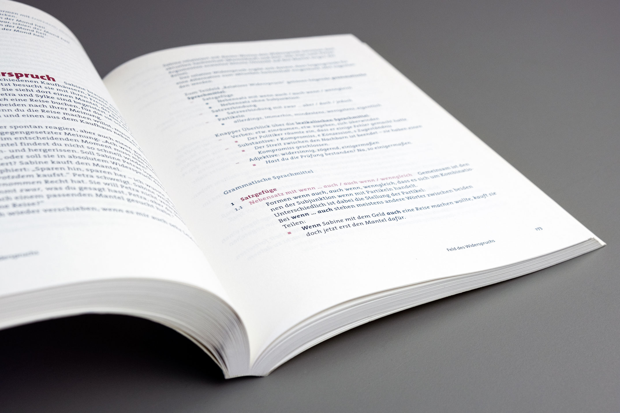 Didaktische Buchgestaltung, typografische Hierarchie 3, Feld des Widerspruchs, Lehrwerk Grammatik in Feldern, Verlag für Deutsch München