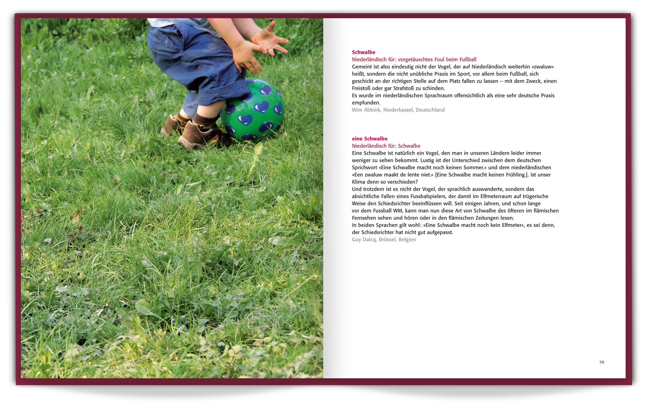 Buchgestaltung zum Wettbewerb »Wörterwanderung«, Doppelseite Schwalbe, Goethe Institut