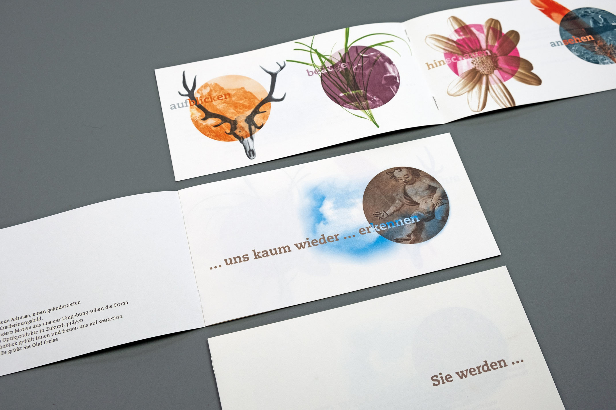 Broschüre zur Ankündigung des neuen Corporate Designs von Freise & Sohn Optikprodukte