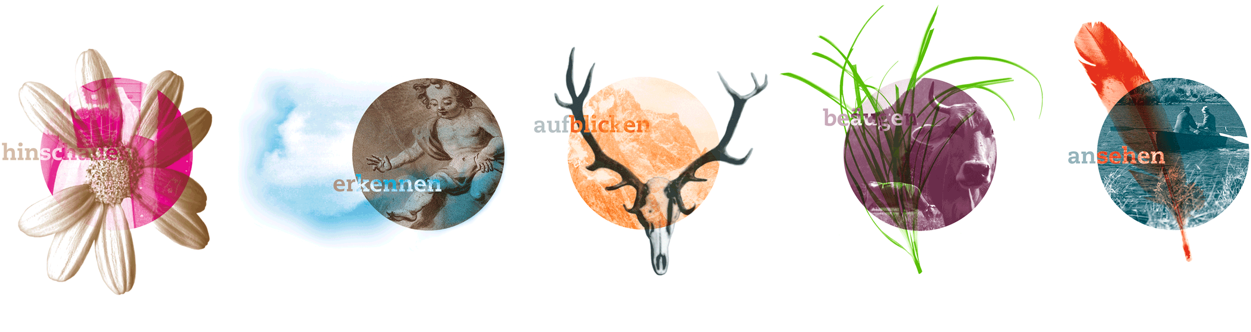 Logo Illustrationen – Corporate Design Freise & Sohn Optikprodukte